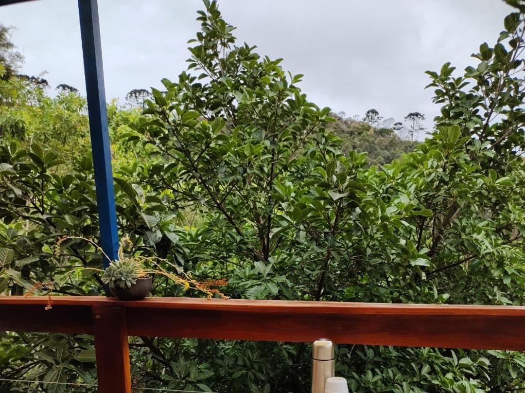 Chales Agua Azul Santo Antônio do Pinhal Εξωτερικό φωτογραφία
